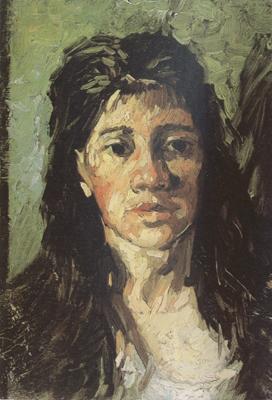 Vincent Van Gogh Head of a Woman with her Hair Loose (nn04) oil painting image